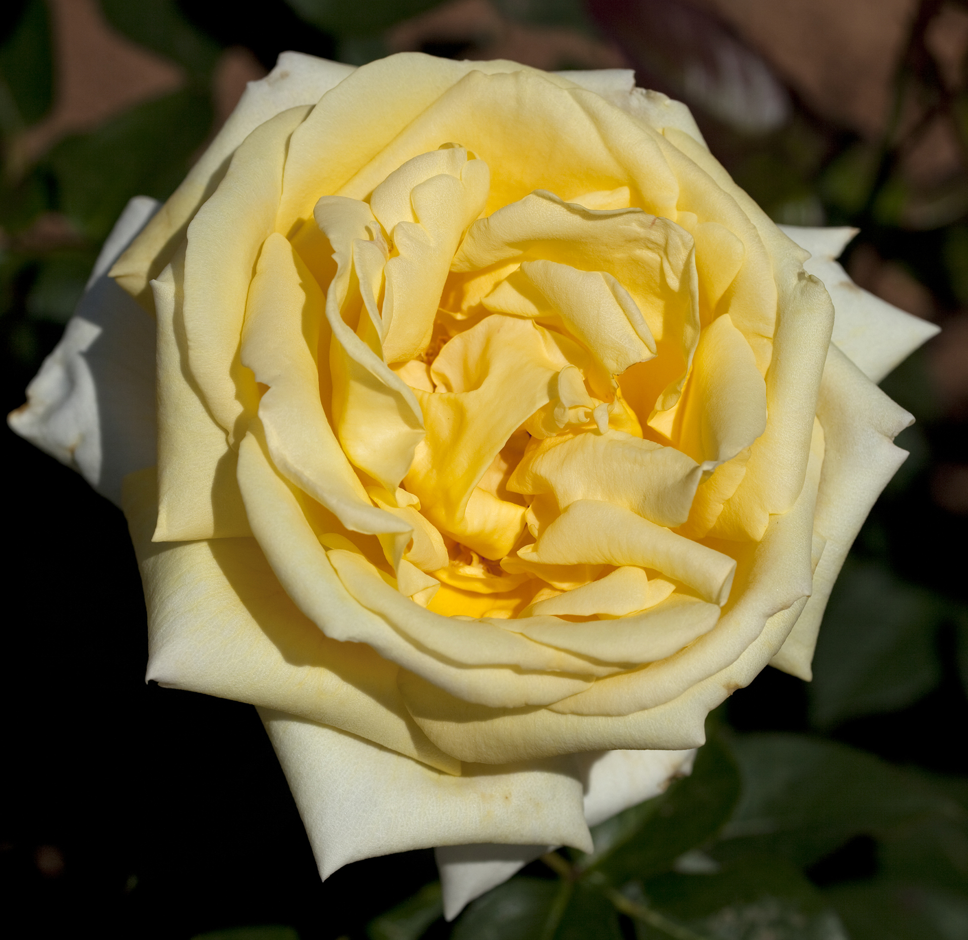 Eternal Flame™ - Image 4